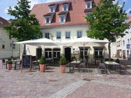Foto: Adler am Schloss